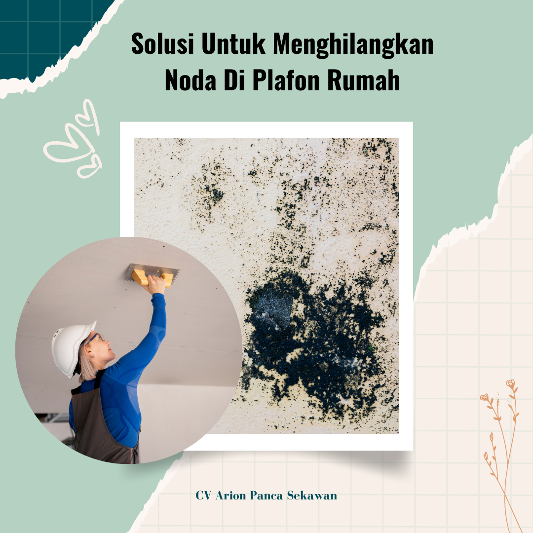 image-blog